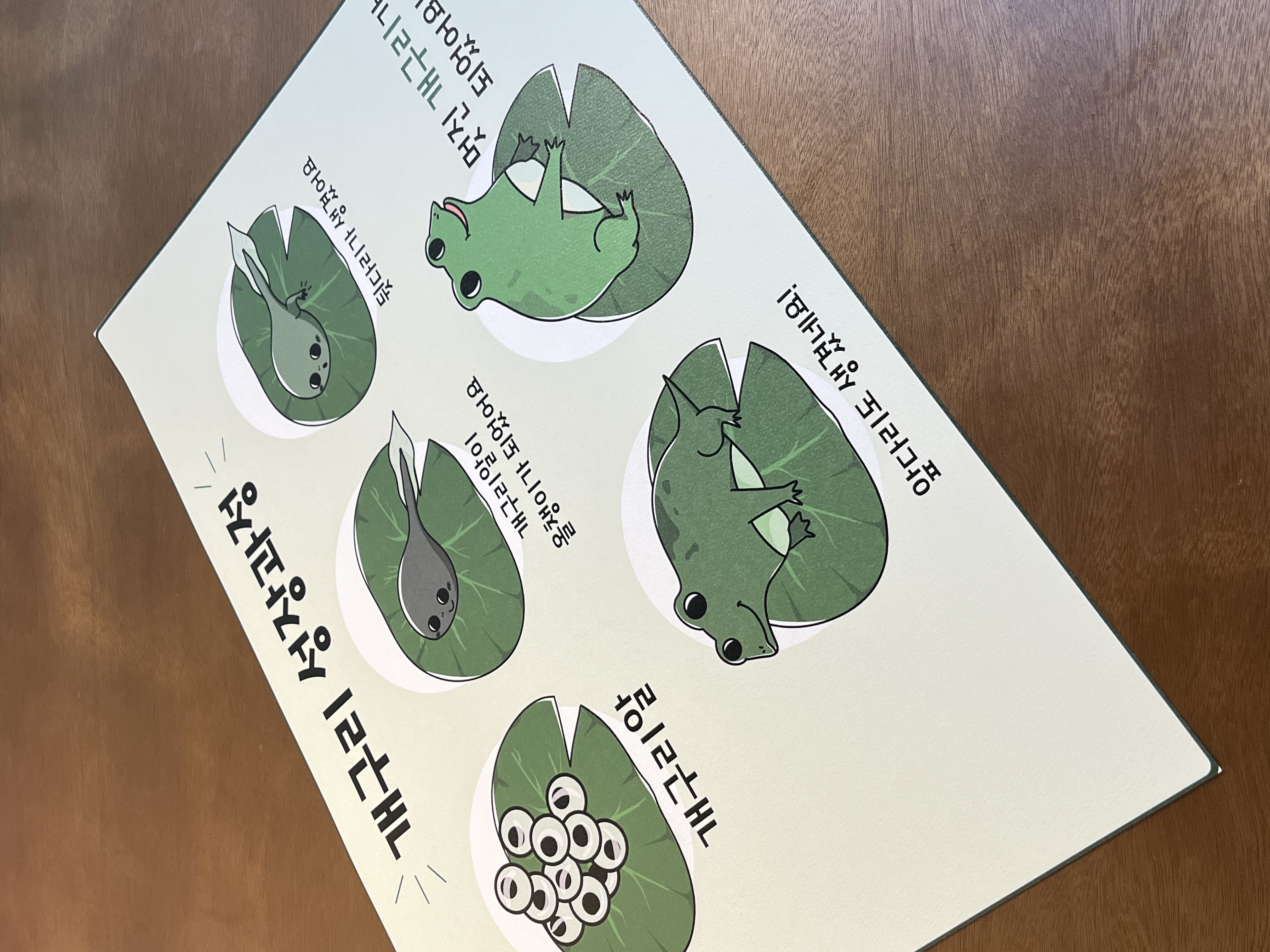 개구리 성장과정 포스터