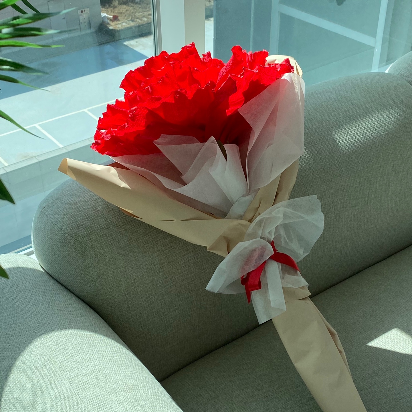 자이언트 카네이션