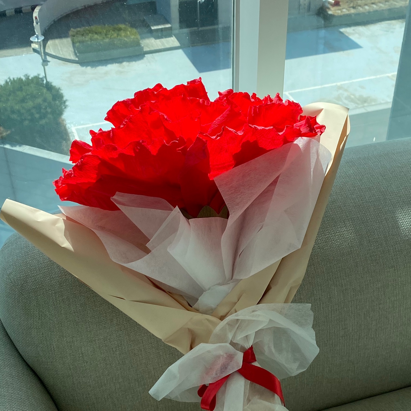 자이언트 카네이션