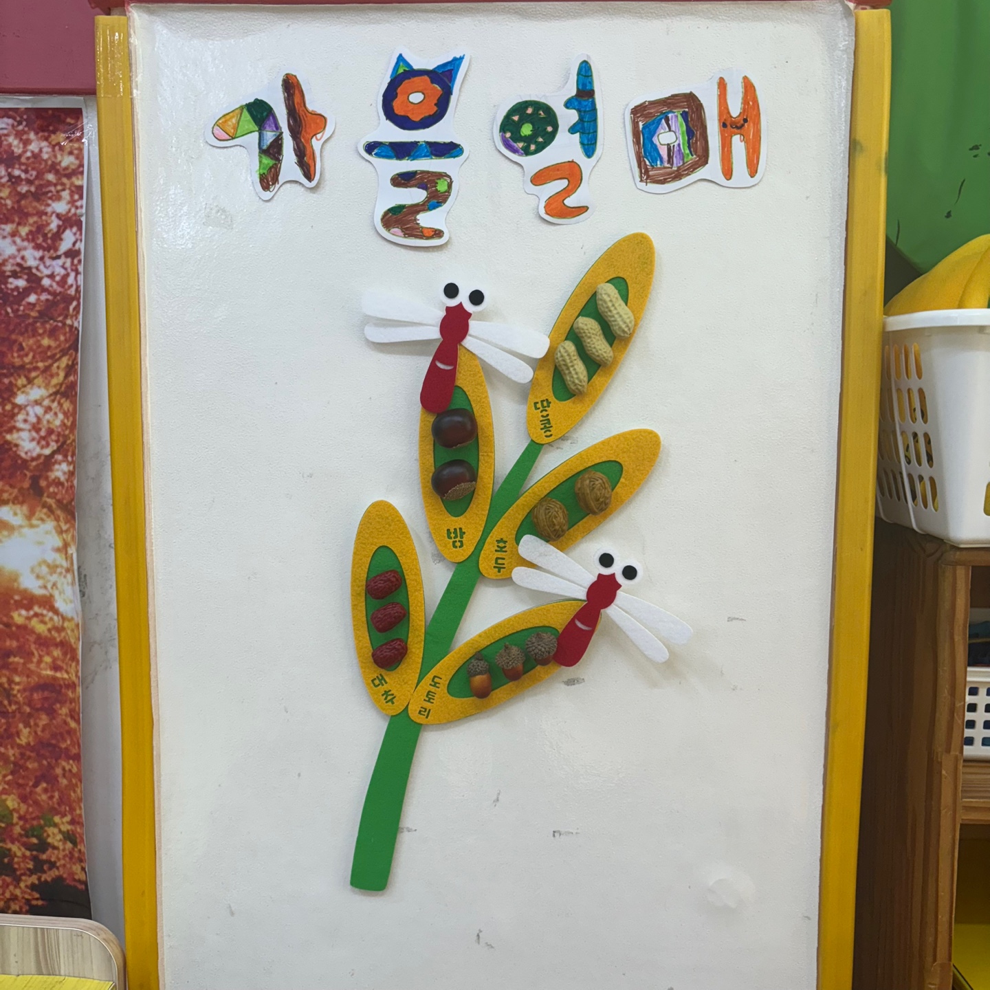 가을 벼촉감 관찰판