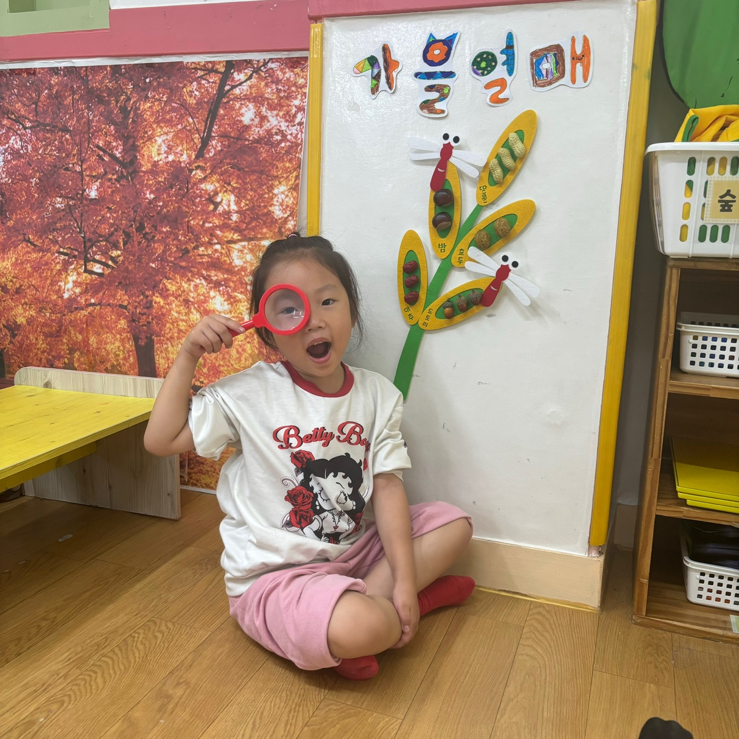 가을 벼촉감 관찰판