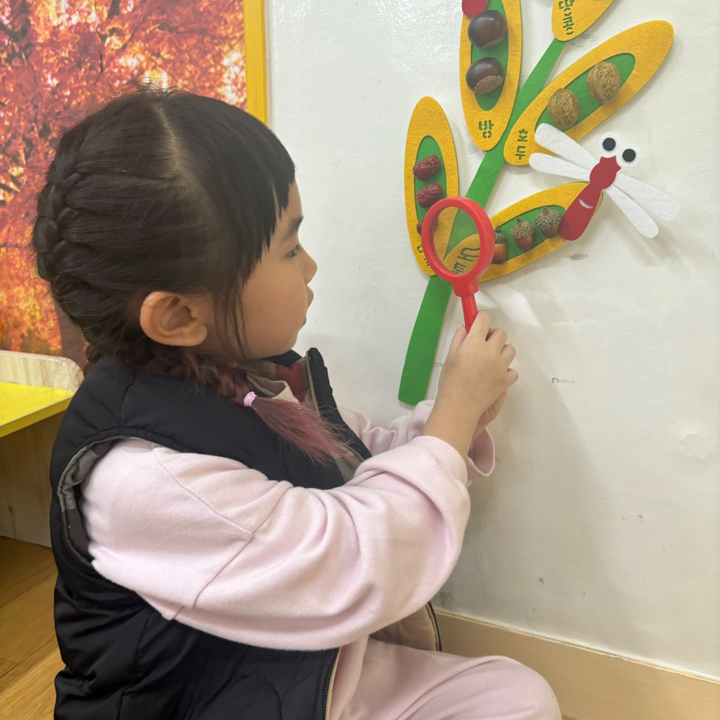 가을 벼촉감 관찰판