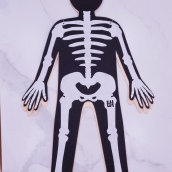 건강한 우리몸 알아보기