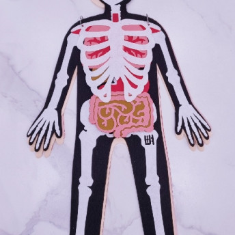 건강한 우리몸 알아보기