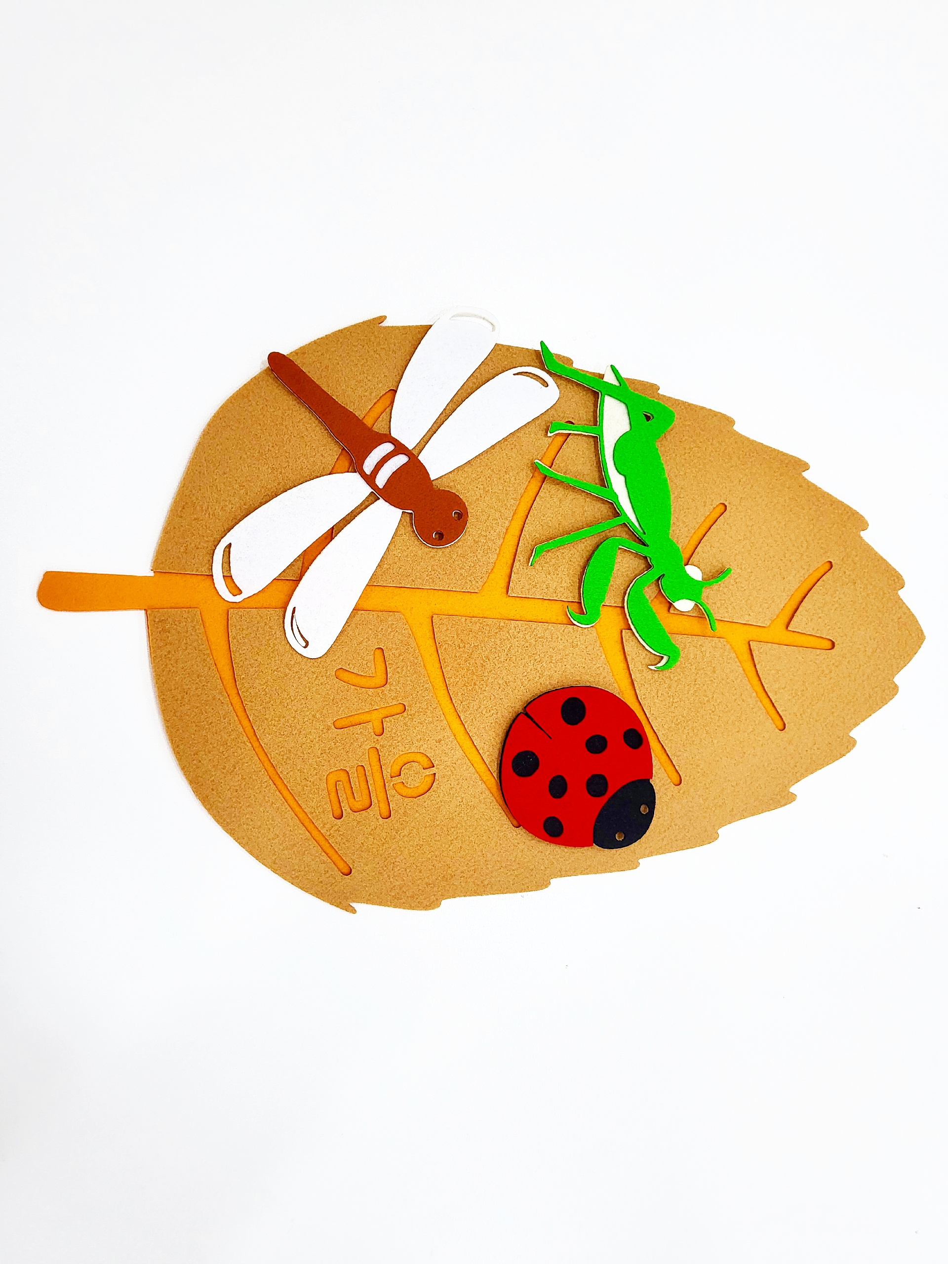 사계절 곤충관찰판