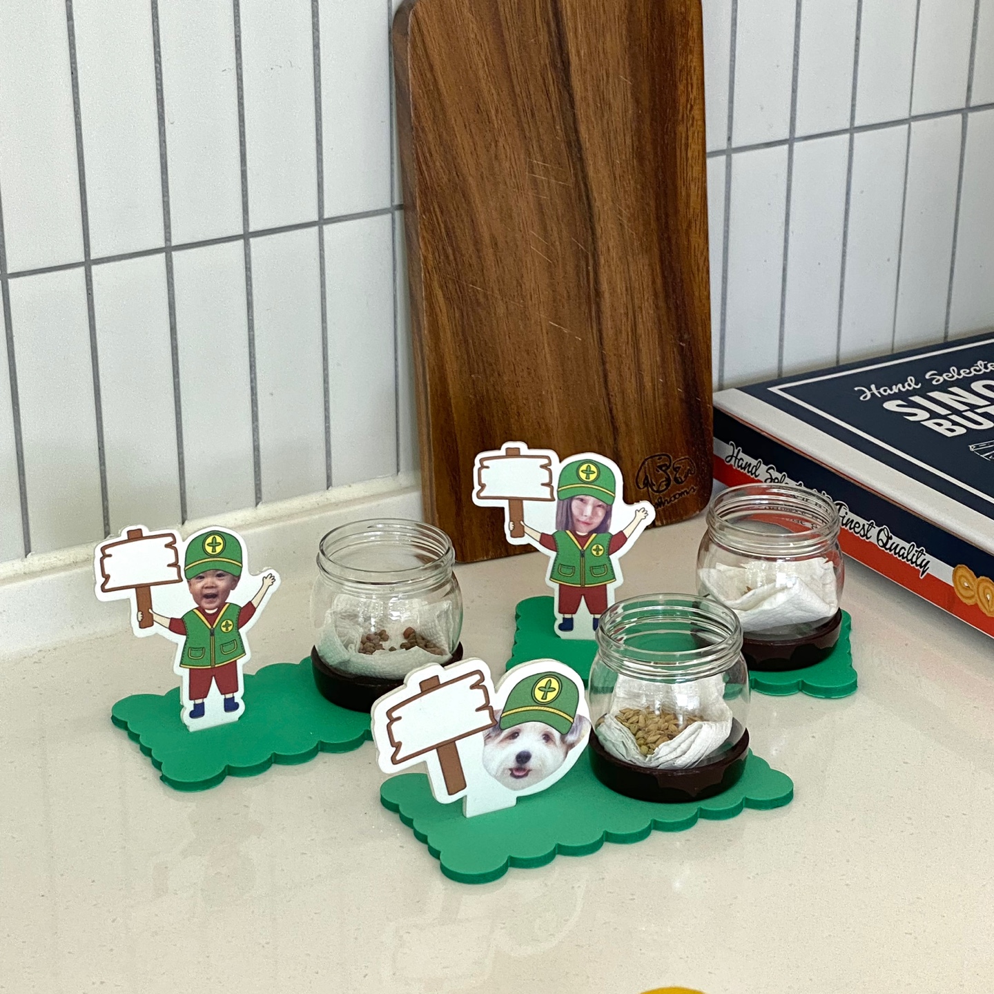 식목일 새마을화분심기(수경식물)