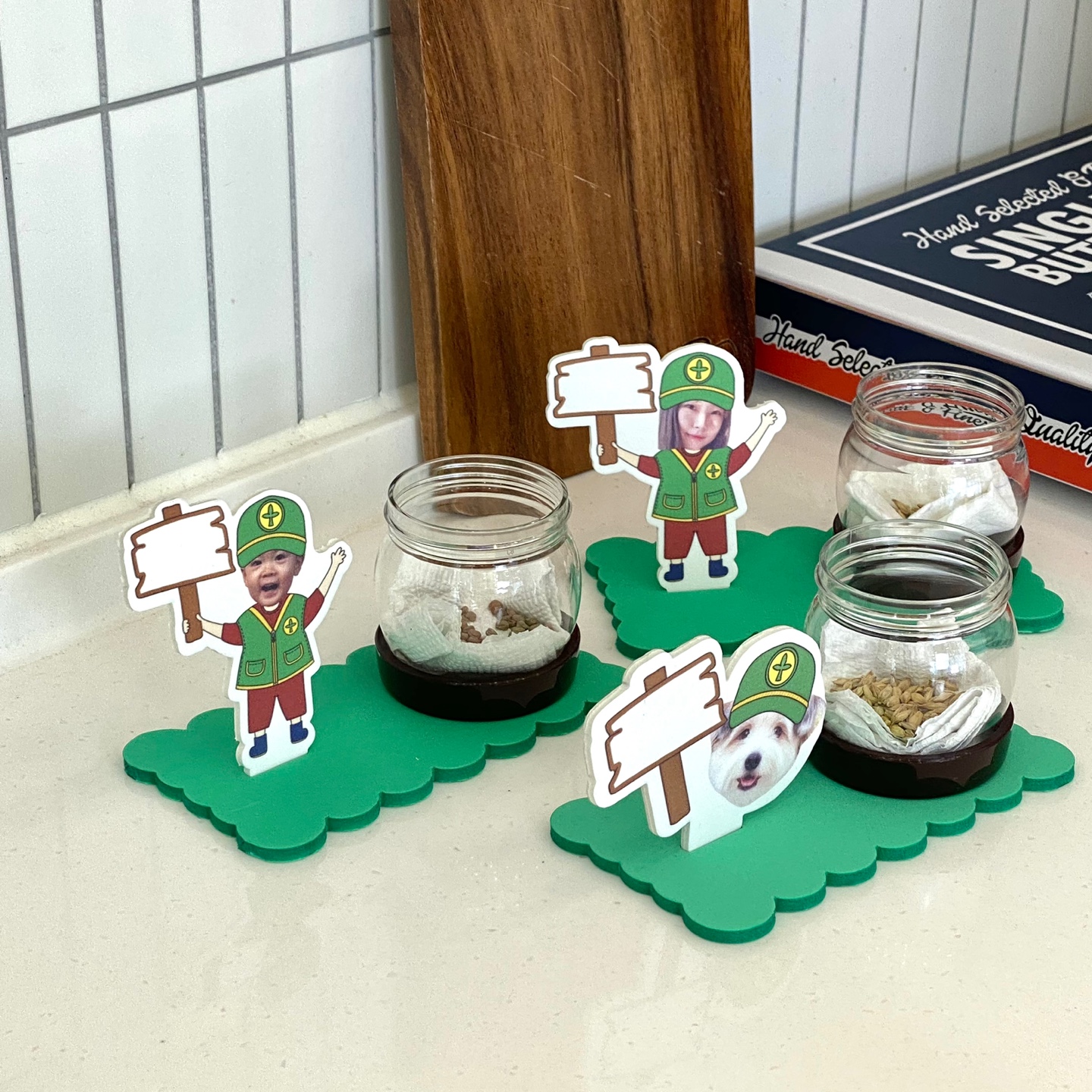 식목일 새마을화분심기(수경식물)