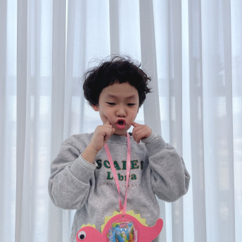 DIY공룡 비타민볼(10개1세트)