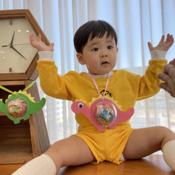 DIY공룡 비타민볼(10개1세트)