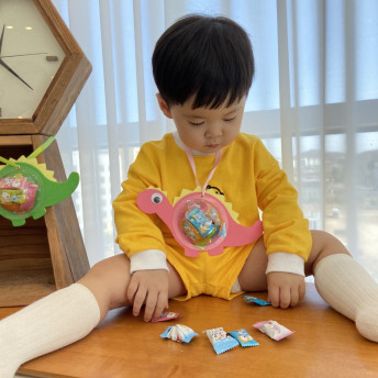 DIY공룡 비타민볼(10개1세트)