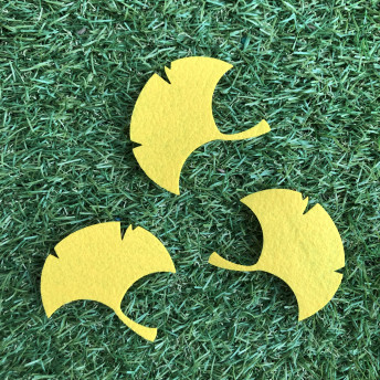 가을 낙엽 3종세트(단풍잎,은행잎 세트)