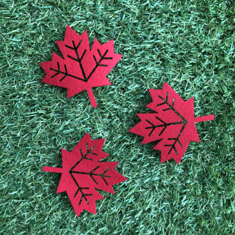 가을 낙엽 3종세트(단풍잎,은행잎 세트)