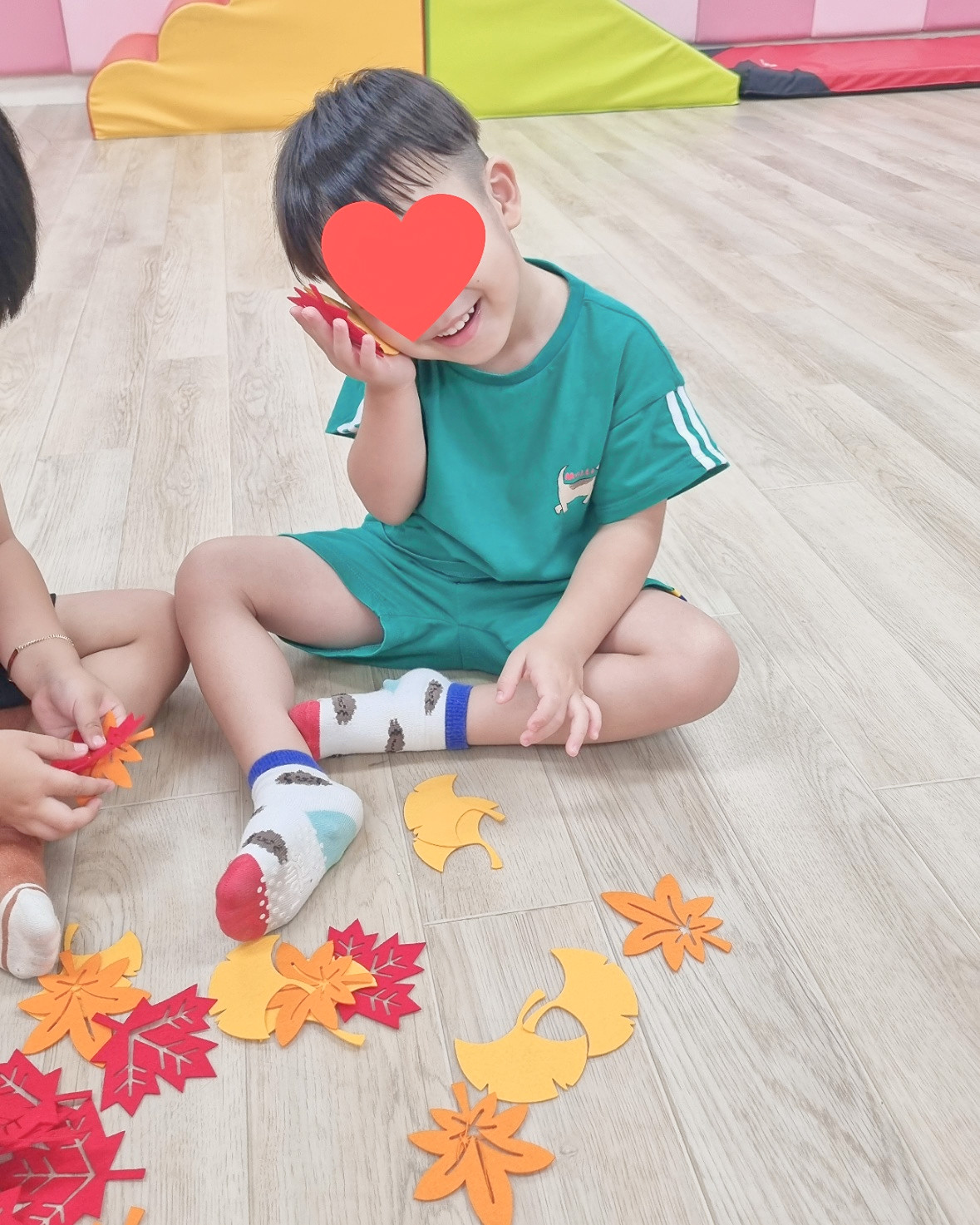 가을 낙엽 3종세트(단풍잎,은행잎 세트)