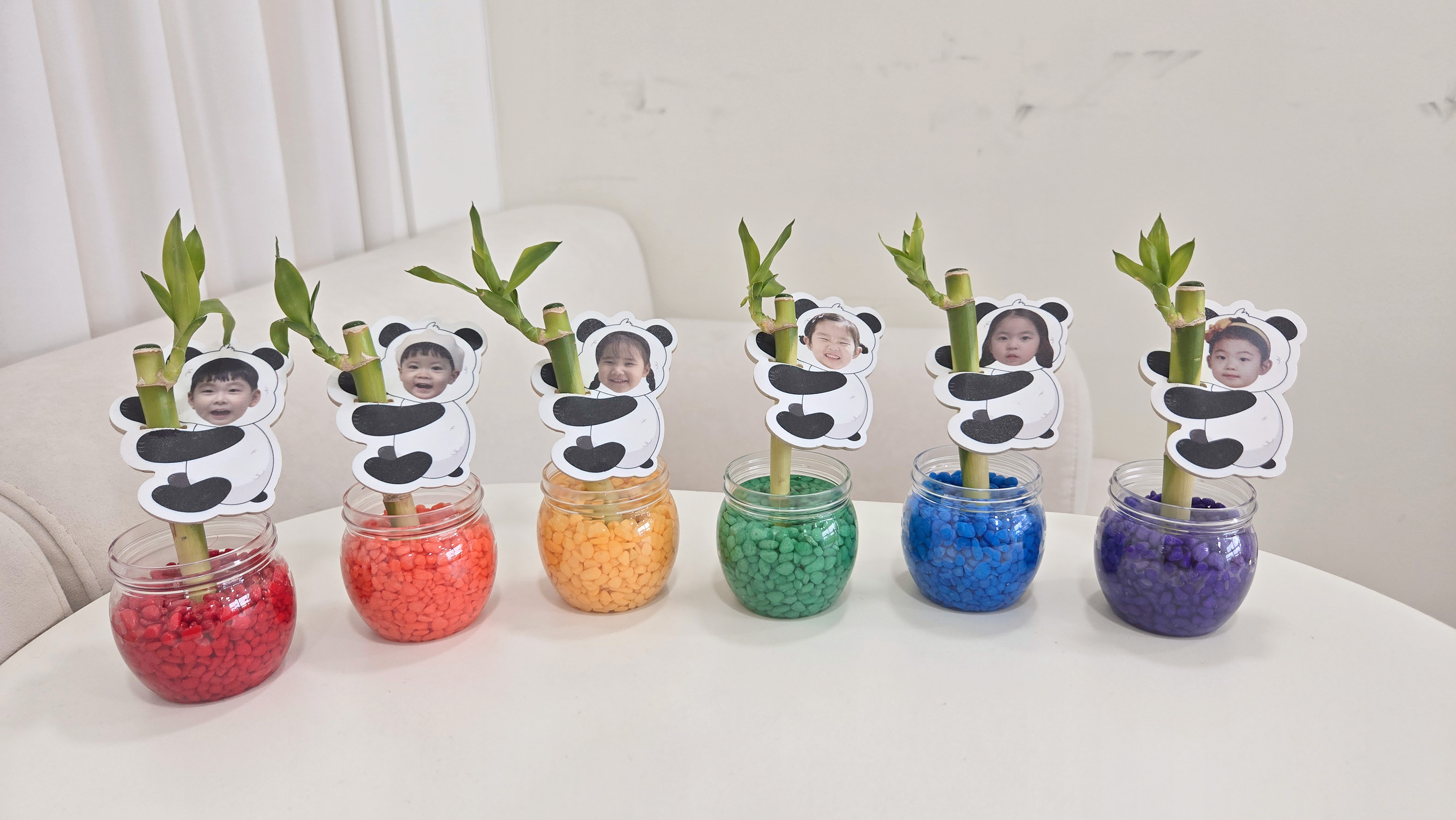 식목일 판다개운죽키우기