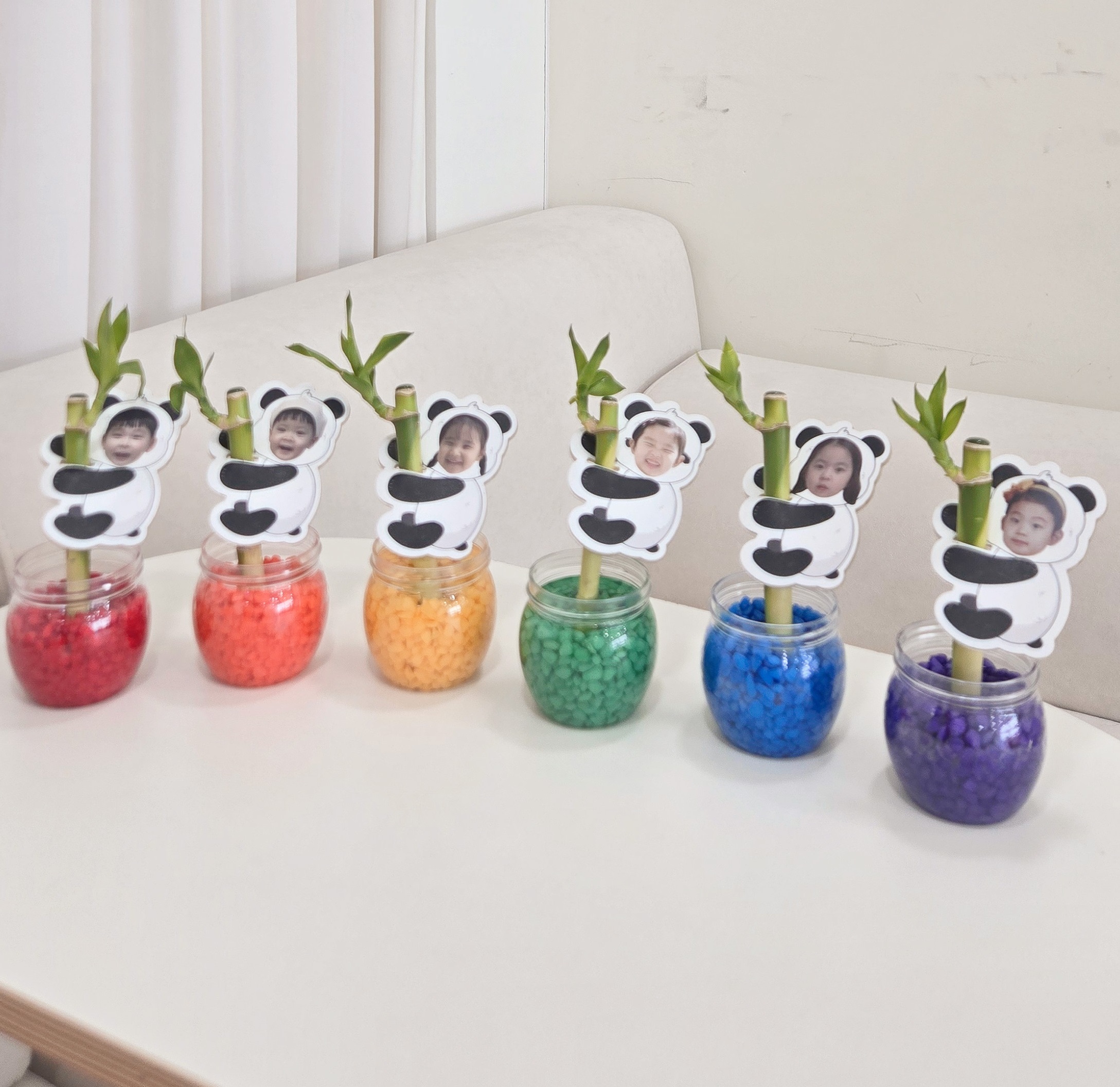 식목일 판다개운죽키우기