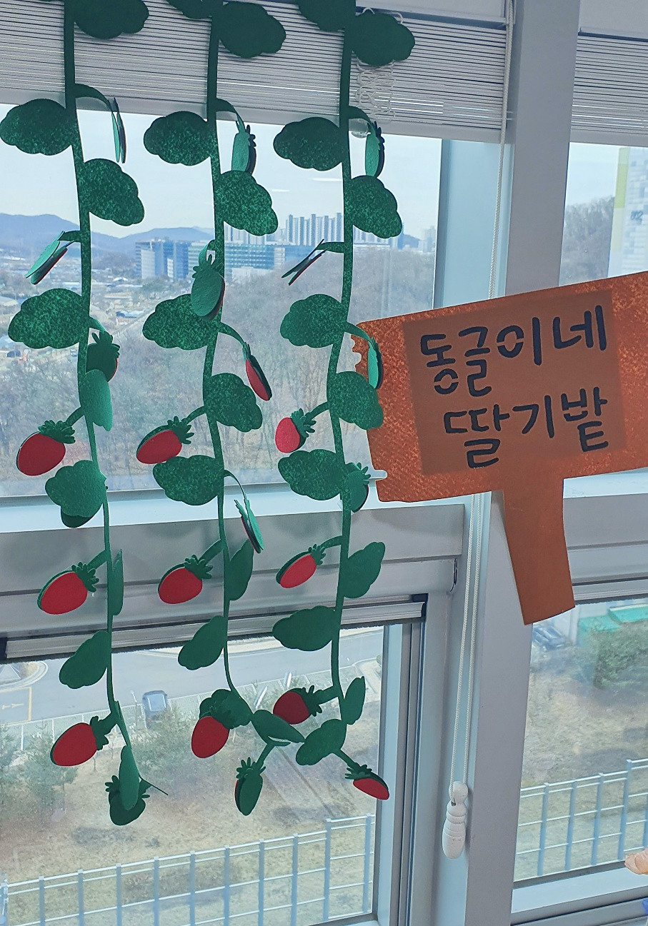 딸기밭 딸기수확