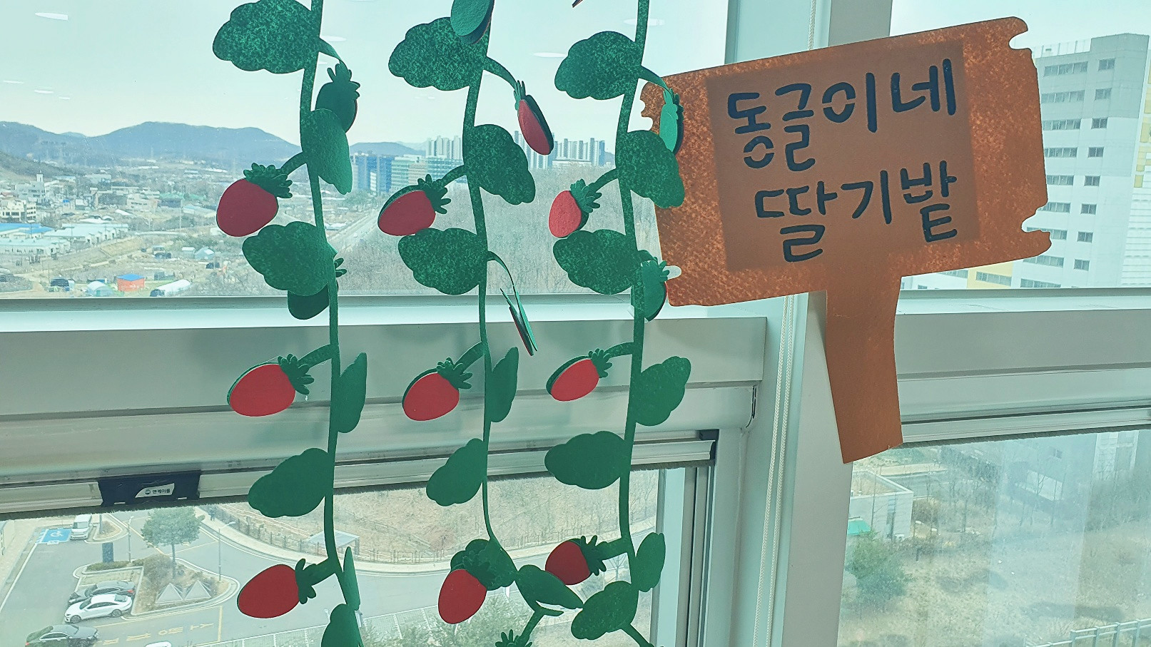 딸기밭 딸기수확