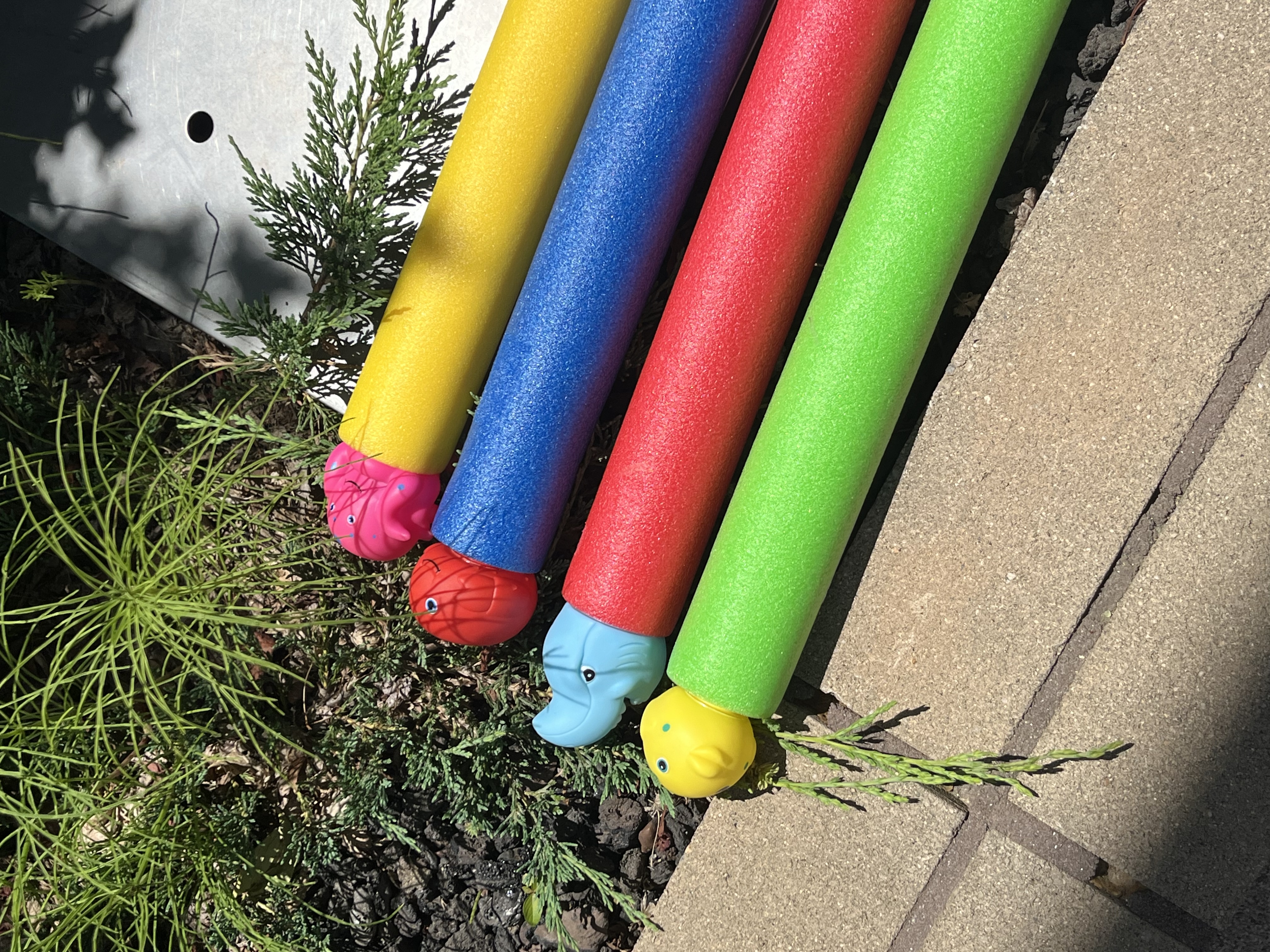 물총 여름물놀이 스펀지물총 여름환경구성