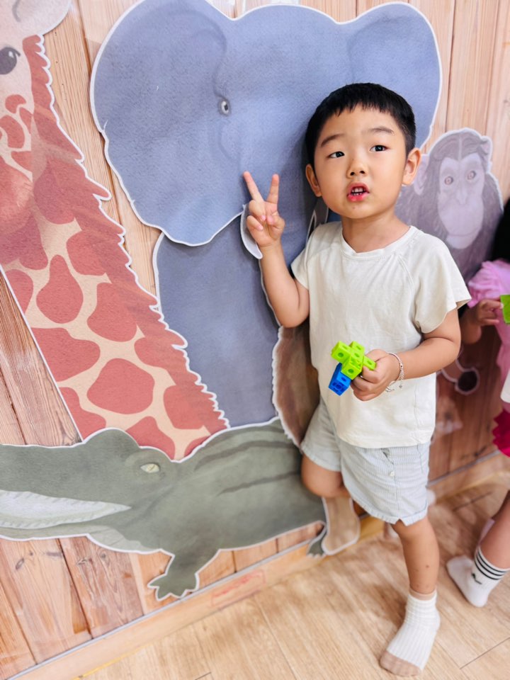 사파리 문꾸미기