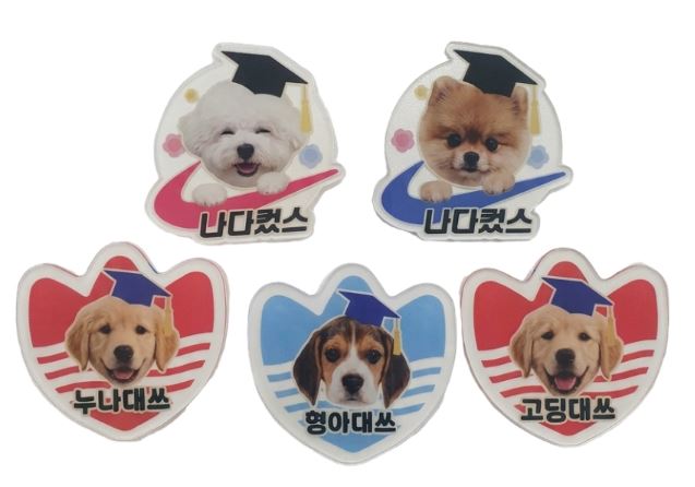 졸업 브로치