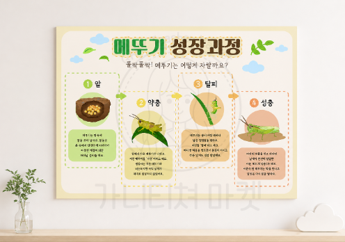 메뚜기 성장과정 포스터