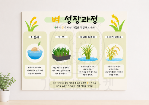 벼 성장과정 포스터